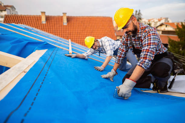 Best Local Roofing Companies  in Ralls, TX